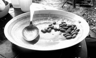 Toate promisiunile USL ar fi fost îndeplinite REVISTA PRESEI