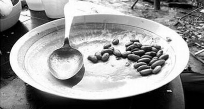 Toate promisiunile USL ar fi fost îndeplinite REVISTA PRESEI