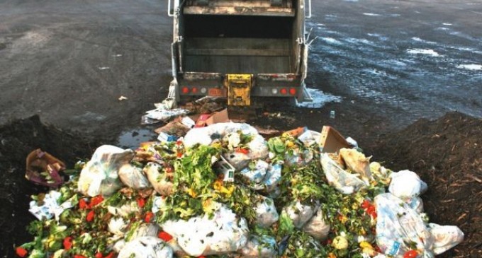 Ce se întâmplă cu mâncarea de la supermarketurile româneşti când intră în termenul de expirare?