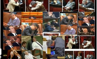 Hoţi, corupţi, chiulangii, putori incompetente, ghici ciuperca cine-s parlamentarii tarii