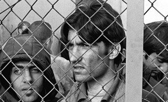 Refugiaţii strâmbă din nas la România REVISTA PRESEI