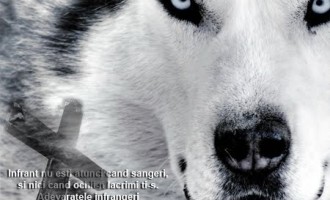 POȘTA REDACȚIEI! „Băi fraților a înnebunit LUPUL !”