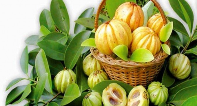 Garcinia cambogia, fructul tropical cu proprietati miraculoase