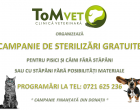EVENIMENT! ToM VET organizează o campanie de sterilizare gratuită pe o perioadă nedeterminată!