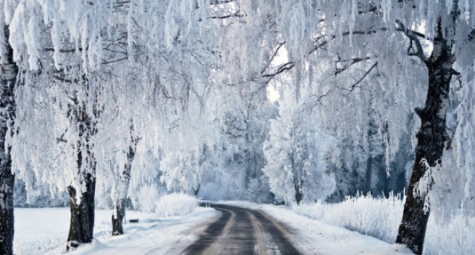 ULTIMA ORĂ!Cursurile în școlile și grădinițele din București, Ilfov și alte opt județe vor fi suspendate