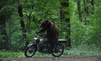 Obiceiuri nesănătoase la români (epigramă)