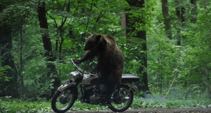 Obiceiuri nesănătoase la români (epigramă)