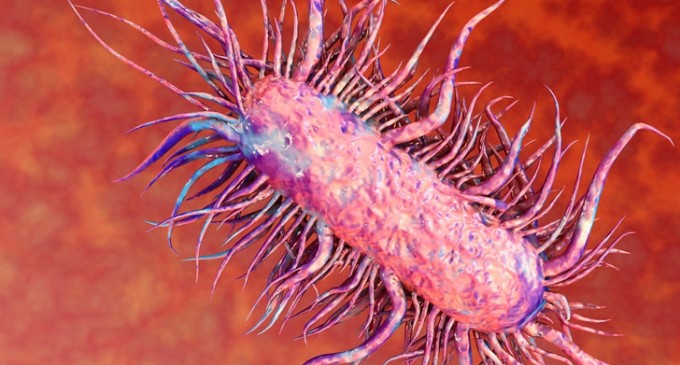 Bebelusii din judetul Arges infectati cu bacteria E coli, ar putea ramane cu sechele