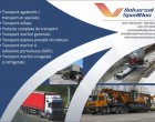 Ai o firma si vrei sa iti duci produsele la export? Afla ce optiuni de transport exista pentru aceasta