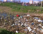 Parcul Tabacarie: o hazna urat mirositoare plina de PET-uri si haite de caini