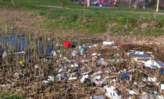 Parcul Tabacarie: o hazna urat mirositoare plina de PET-uri si haite de caini
