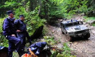 Informații la zi din Linia Întâi a NATO