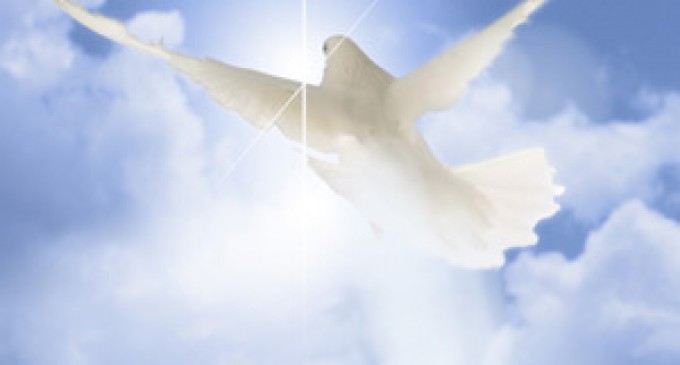 Viața comunității – „Rodnicia de a învăţa să construieşti ”- Partea a Treizeci și Patra