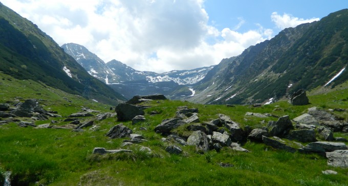 Muică, suntem neam de… TRĂDĂTORI!!!