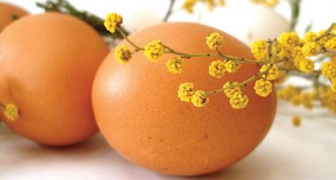 Ce se întâmplă cu fiecare dintre noi dacă vom consuma un ou pe zi