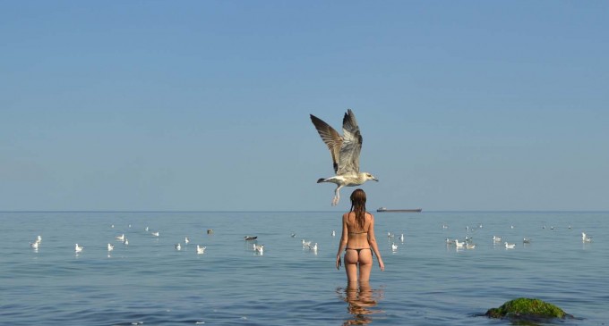 Marea Neagră sub diferite nuanțe