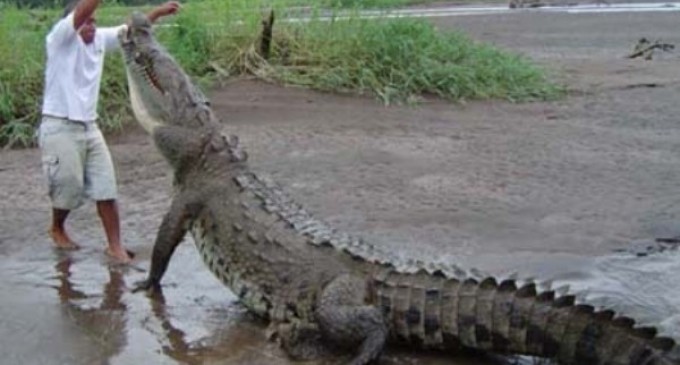 O caut cu lumânarea… (Nepoțelei mele Daria-Maria)