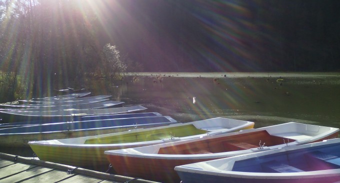 INFO TRIP  ROMAN 4-6 Noiembrie 2016