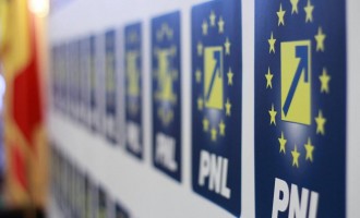 Alina Gorghiu și-a depus demisia din funcția de președinte al PNL