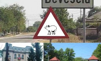 Activitate intensă la Deveselu