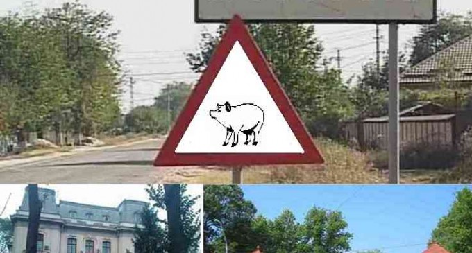 Activitate intensă la Deveselu