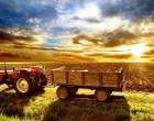 Cele mai profitabile afaceri agricole, in ce sa investesti din 2017