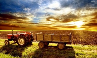 Cele mai profitabile afaceri agricole, in ce sa investesti din 2017