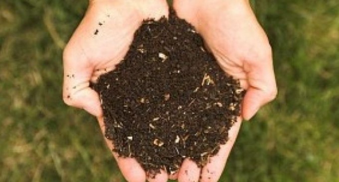 Coșbuc, dac-ai învia, pe ciocoi i-ai înjura…