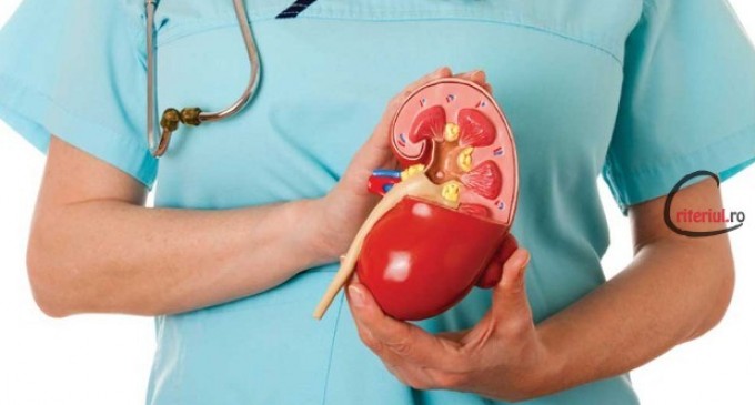 5 sfaturi pentru sanatatea rinichilor copiilor