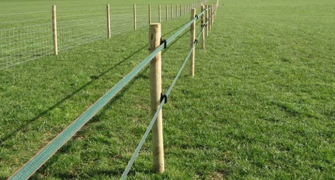 Istoria gardului electric, din 1832 pana in zilele noastre