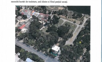 Miau-miau&Co votează mâine o nouă „MASTURBARE URBANĂ” și gangabang-uiala parcului Tăbăcăriei