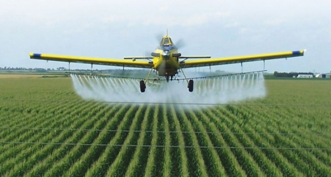 Comisia Europeană a reînnoit până în 2022 autorizația pentru un erbicid controversat