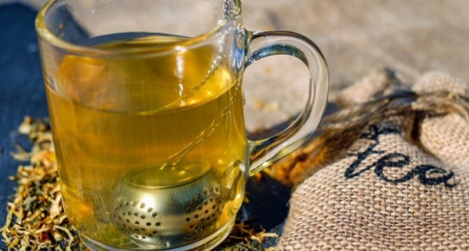 Cele mai eficiente plante în detoxifierea organismului