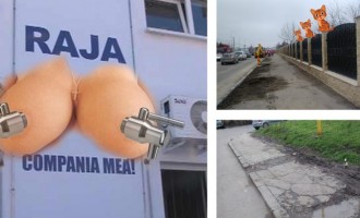 Raja SILICOANE, Constanta TOMBEROANE /// Casa cu lei devine Gardul cu pisici