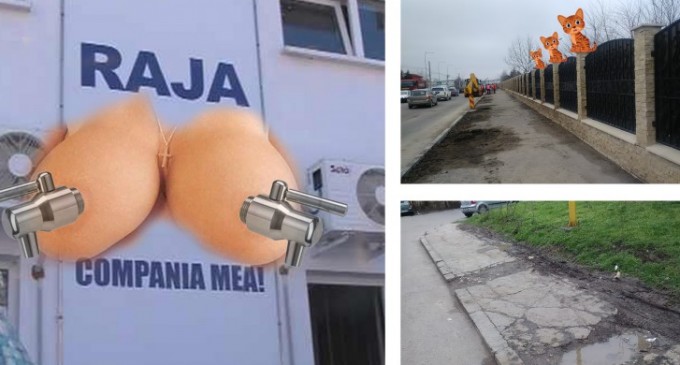 Raja SILICOANE, Constanta TOMBEROANE /// Casa cu lei devine Gardul cu pisici