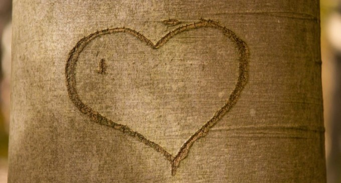 Cele mai intalnite mituri despre relatii