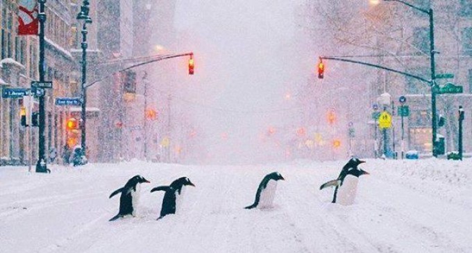 Atenție la ceea ce resimțim