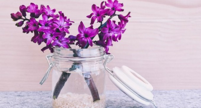 Cum să ai grijă perfect de florile pe care urmează să le primești pe 1 și 8 martie