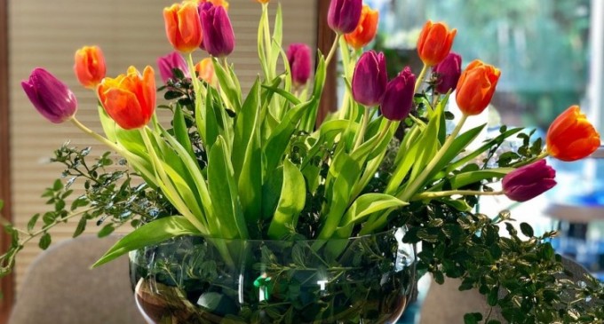 Ce preferinte au membrii generatiilor X si Y din Brasov cand vine vorba de achizitia de flori online