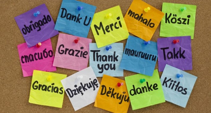 6 calități după care recunoști un birou de traduceri bun