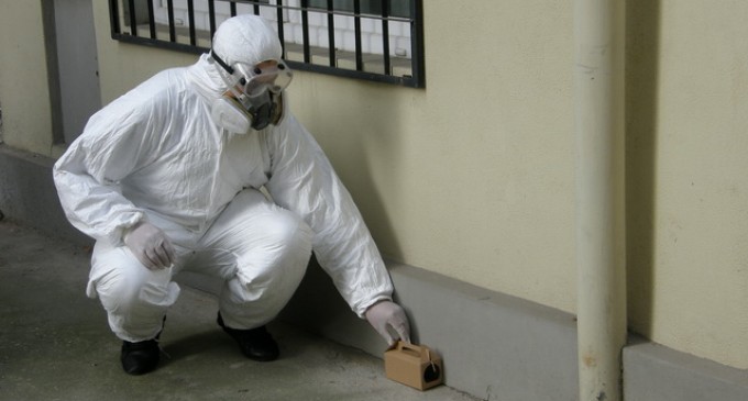 Pentru dezinsectie apelati la cea mai buna firma din Bucuresti!