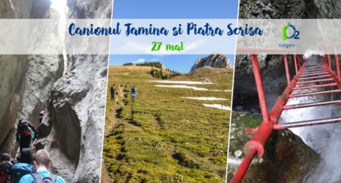 Lectia de viata pe care o da muntele