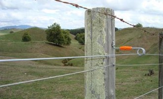 Istoria gardului electric. Când a apărut?