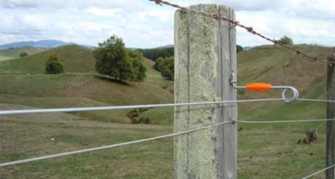 Istoria gardului electric. Când a apărut?