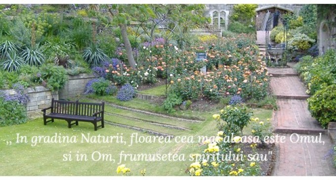 Psihoterapia te face puternic