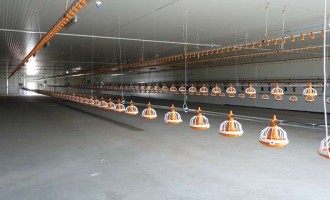 Importanţa unei ferme de păsări