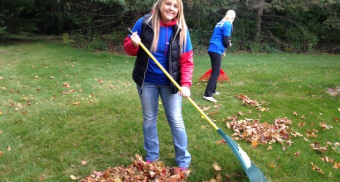 Curtea voi ați măturat și-apoi… pe mâini v-ați spălat!
