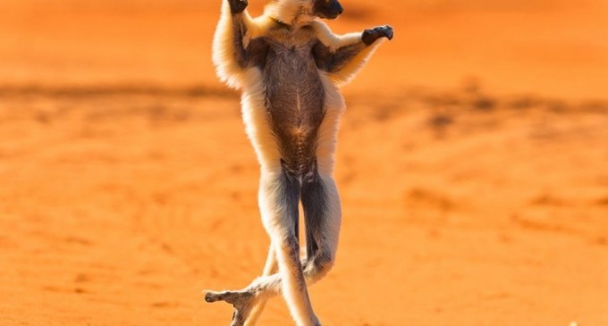 Degeaba i-ați condamnat, dacă din mâini v-au zburat!