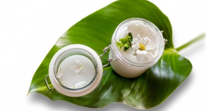 Cele mai populare plante folosite in cosmetica bio