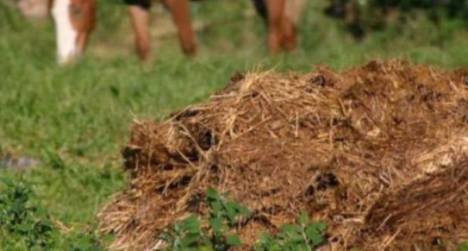 Revoluție în agricultură! Un producător român a găsit soluția pentru plantațiile fermierilor | Criteriul National